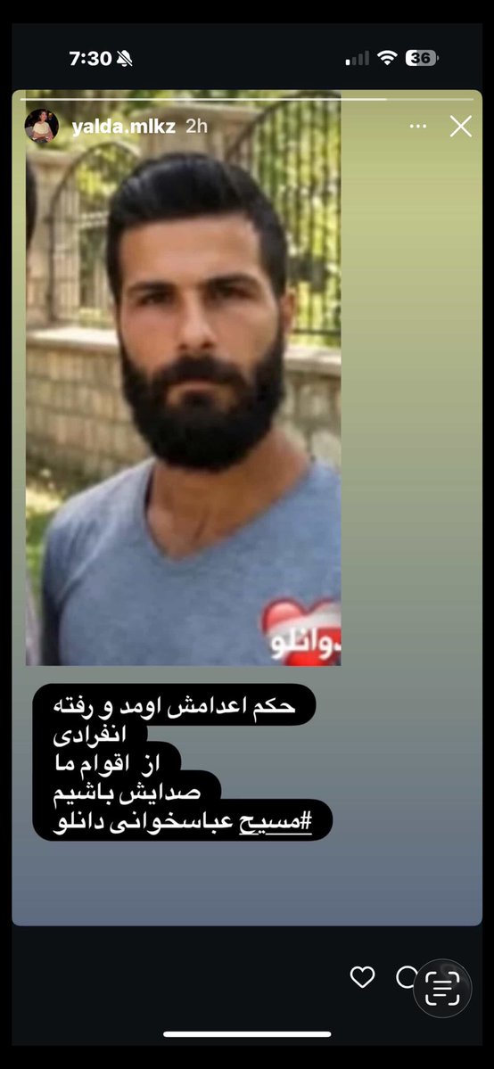 Fay( Fattaneh) tweet media