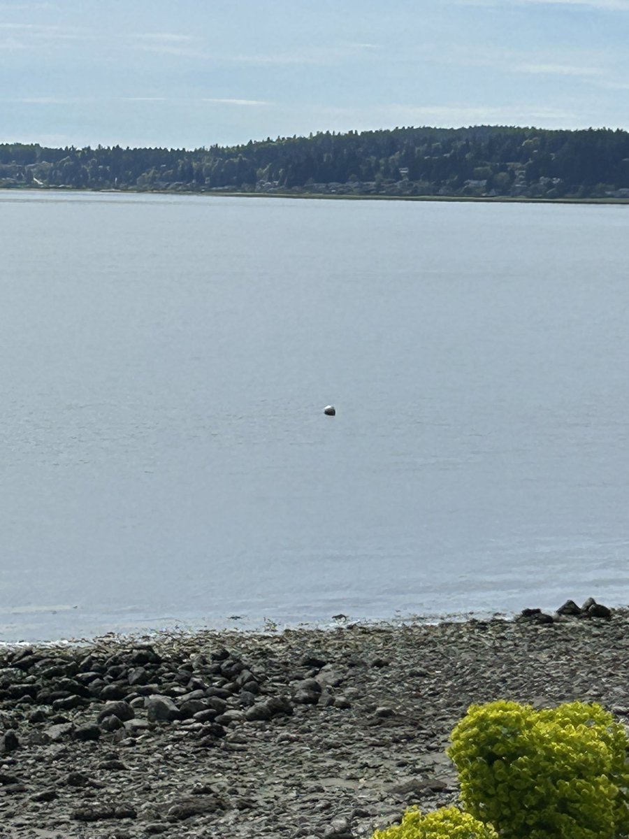 Rob Wood tweet media