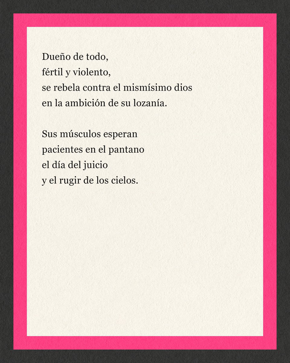 Me acordé que en mi libro Cromazoografías escribí un poema sobre los Hipopótamos. Aquí lo dejo: