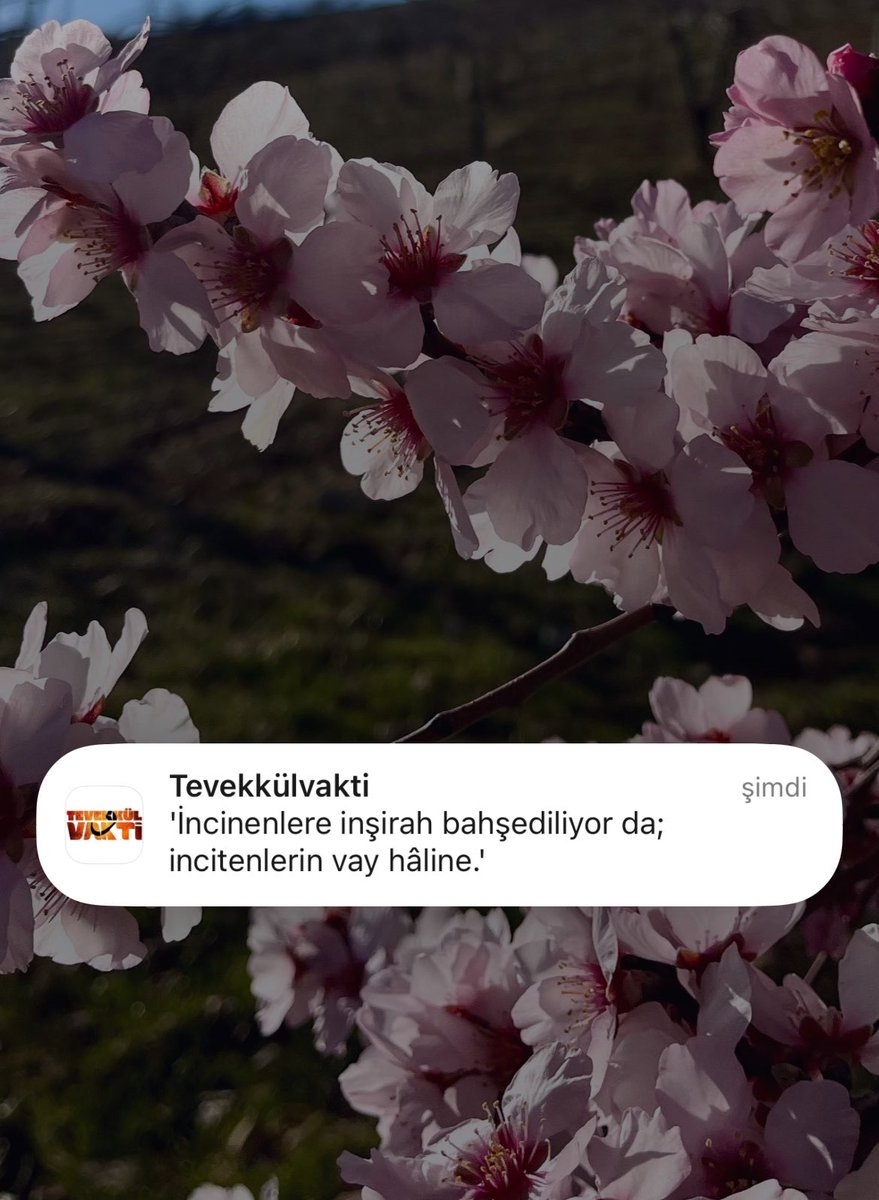 Hamuş MuradınaErmiş tweet media