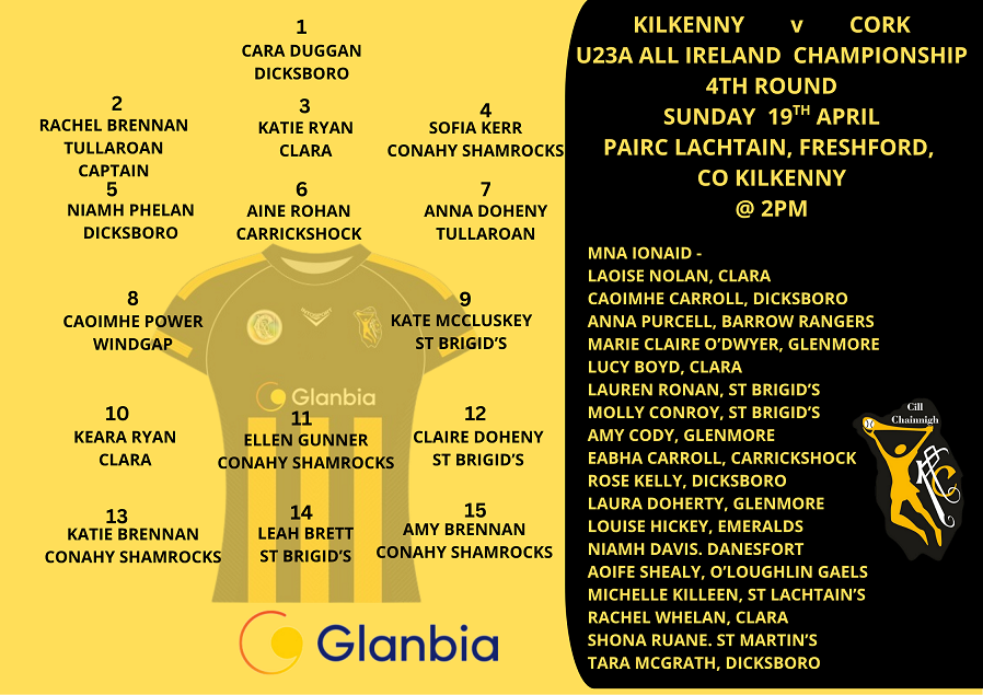Kilkenny Camogie tweet media