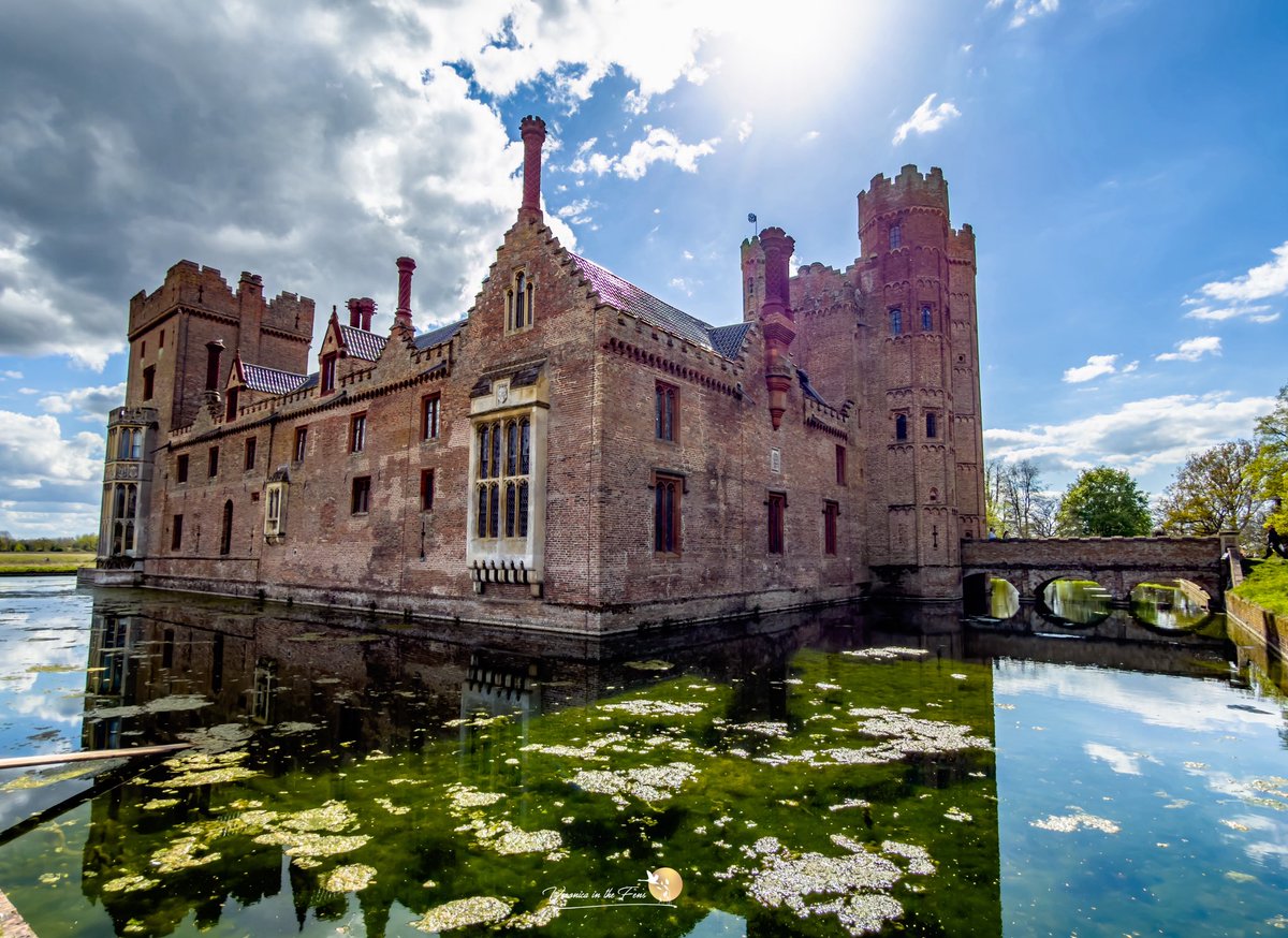 Veronica in the Fens 🧚🏼‍♀️ My Heart in Nature tweet media