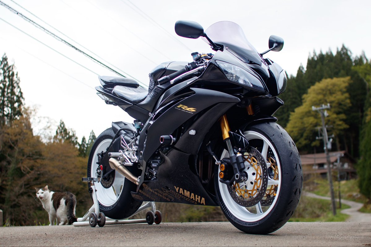 kiwa_tti tweet media