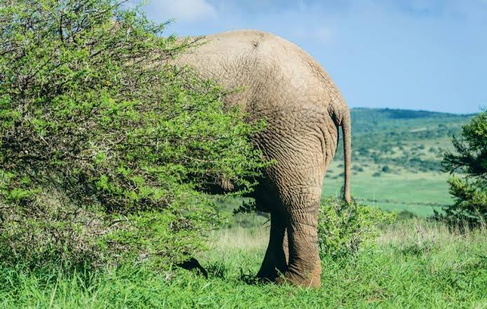 The Charity Guy tweet media