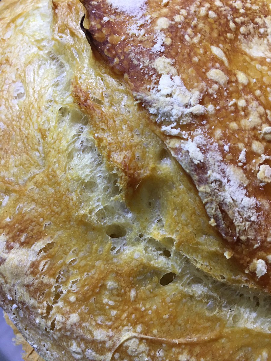 Englishblossoms's tweet image. I’ve finally joined the #sourdough club! This is my very first attempt!
The process was long but so rewarding🥰💖
#BakingJoy #Baking #Loaf 👩🏻‍🍳🥖