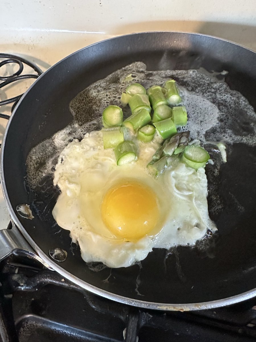 susilee_dean's tweet image. Here is the first asparagus stalk of the season. I sautéed it in a tablespoon of butter with one egg. Asparagus cooks in a few minutes, in the same amount of time it takes to fry an egg. 
#Asparagus is easy to grow. Once planted, it comes back every year. 
#GrandmaSusiCooks #keto