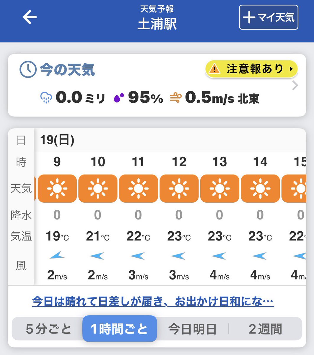 BlueSkyStride🏃Next→かすみがうらマラソン tweet media