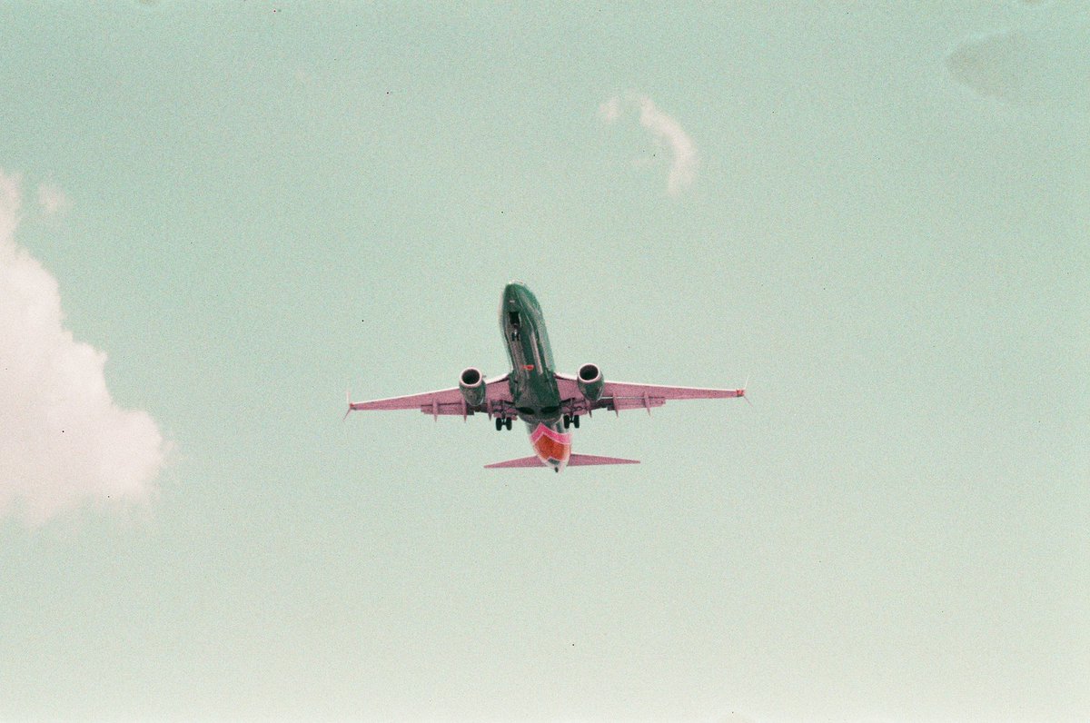 pizza_kween_'s tweet image. ✈️

#airplane #pointandshootcamera #photography #photos