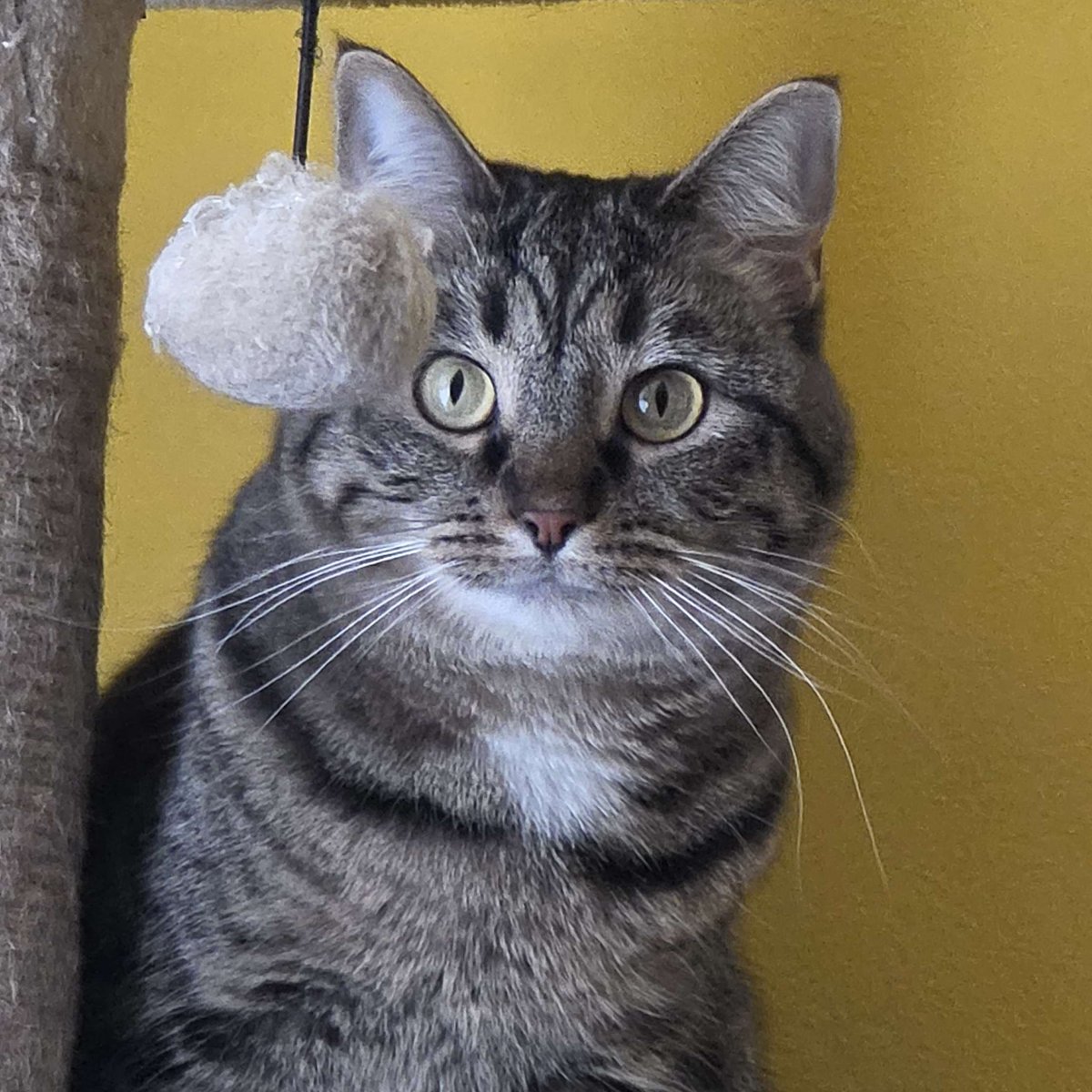 sam ⊬ ⚞•⚟ | 21 days tweet media