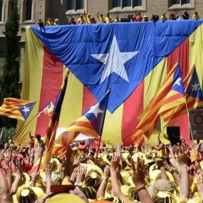 MeridianaResisteix tweet media