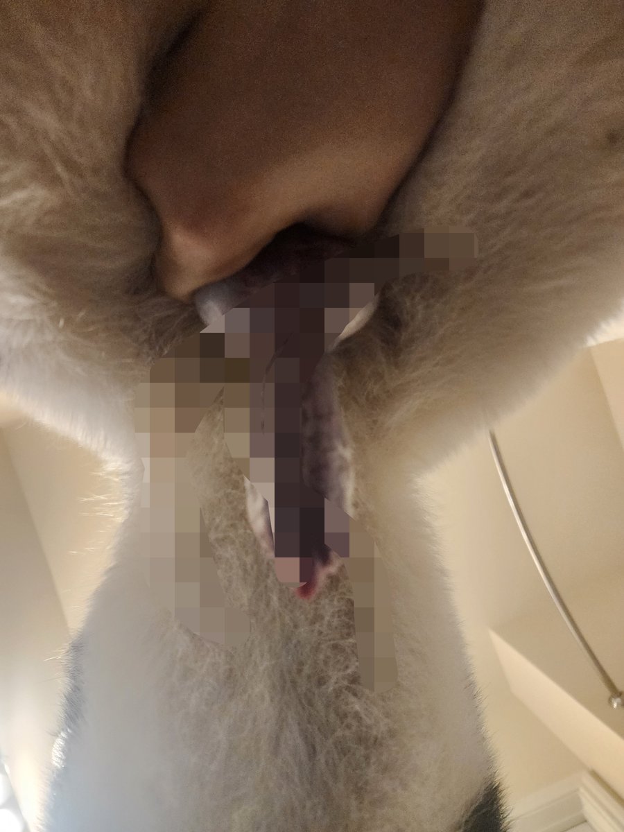 Knotty Realm tweet media