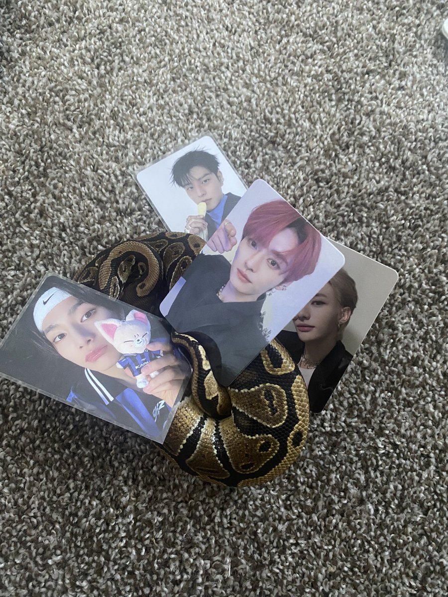 nathaniel ୨ৎ tweet media