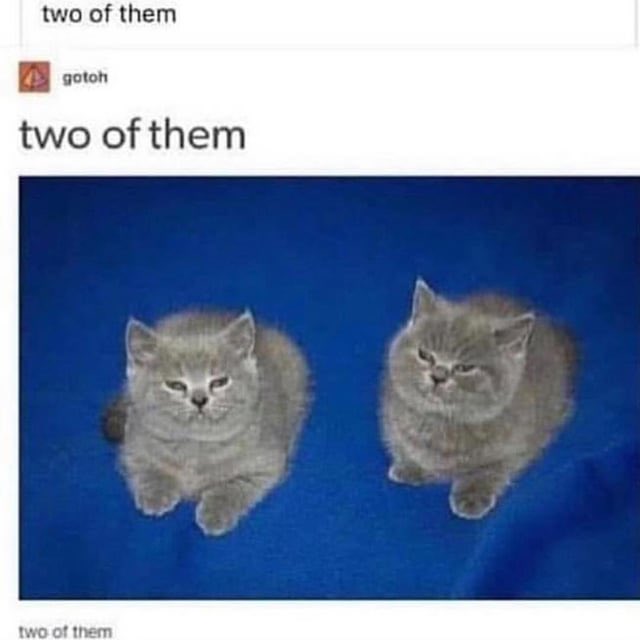 ImmenseAnomaly tweet media