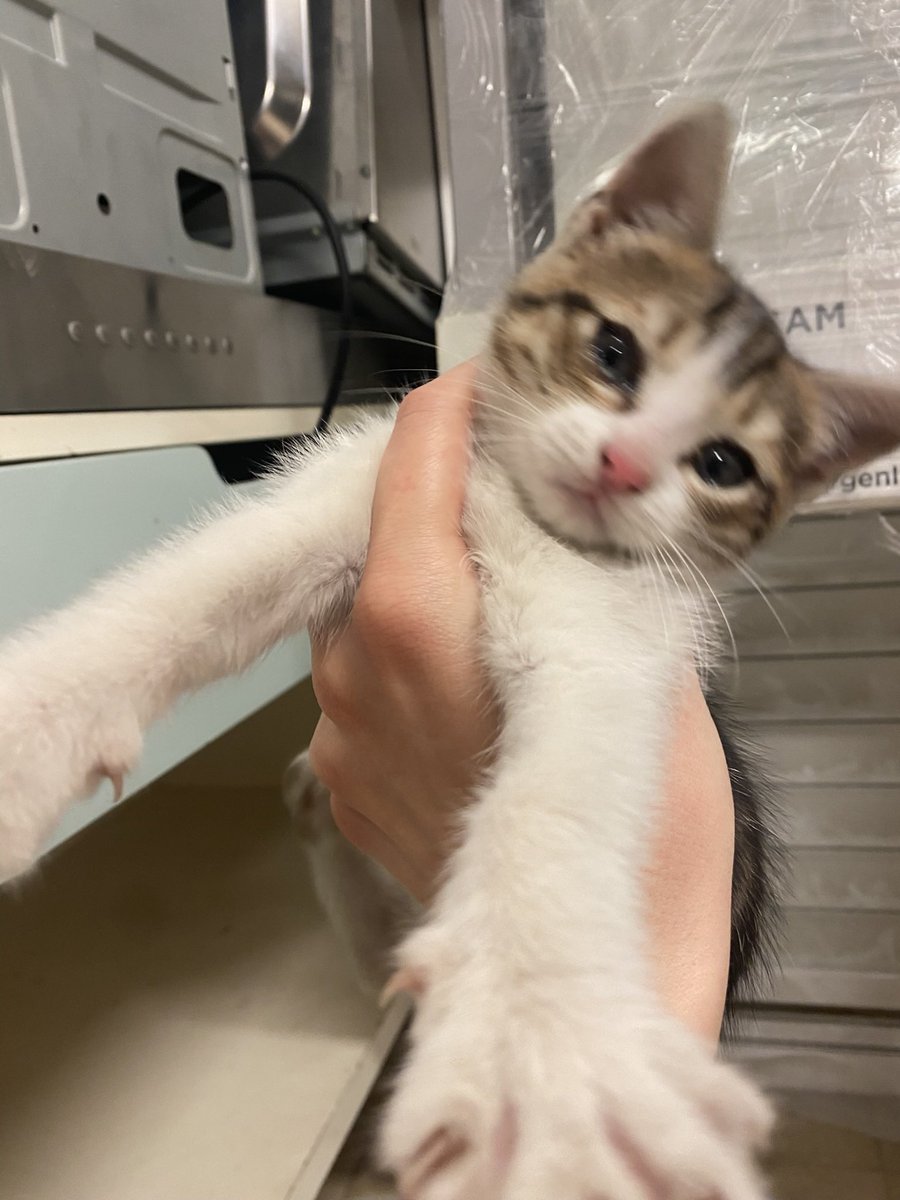 Ne var bodruma sığınmışsam yuva arıyordum belki sensindir…