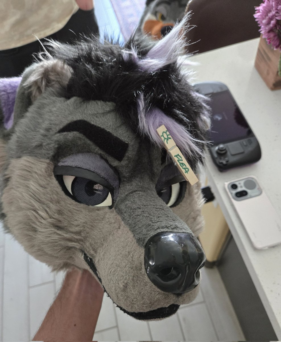 pleo 🌵 tweet media