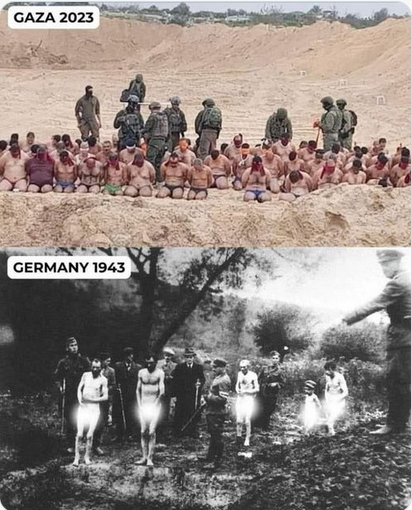 Loless Nter tweet media