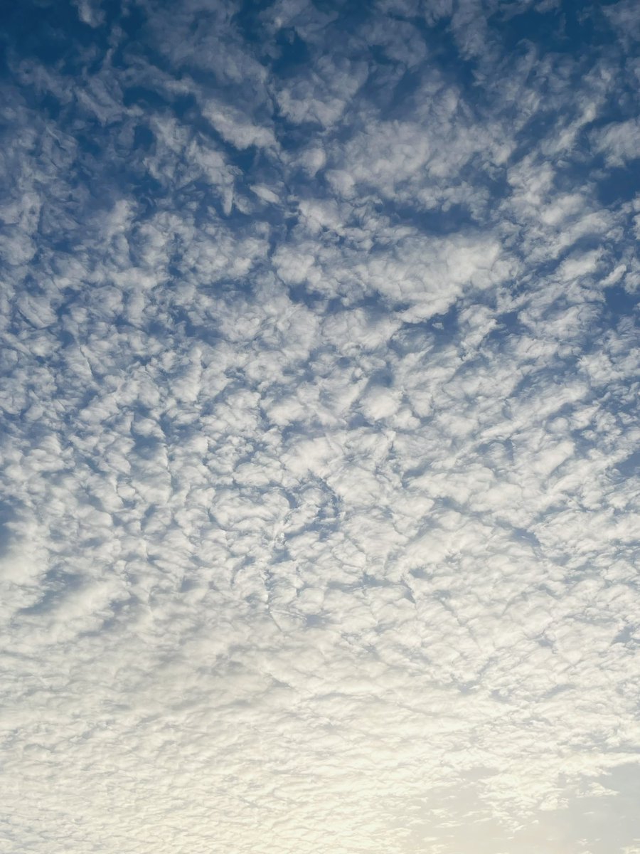 うみふじぃ tweet media