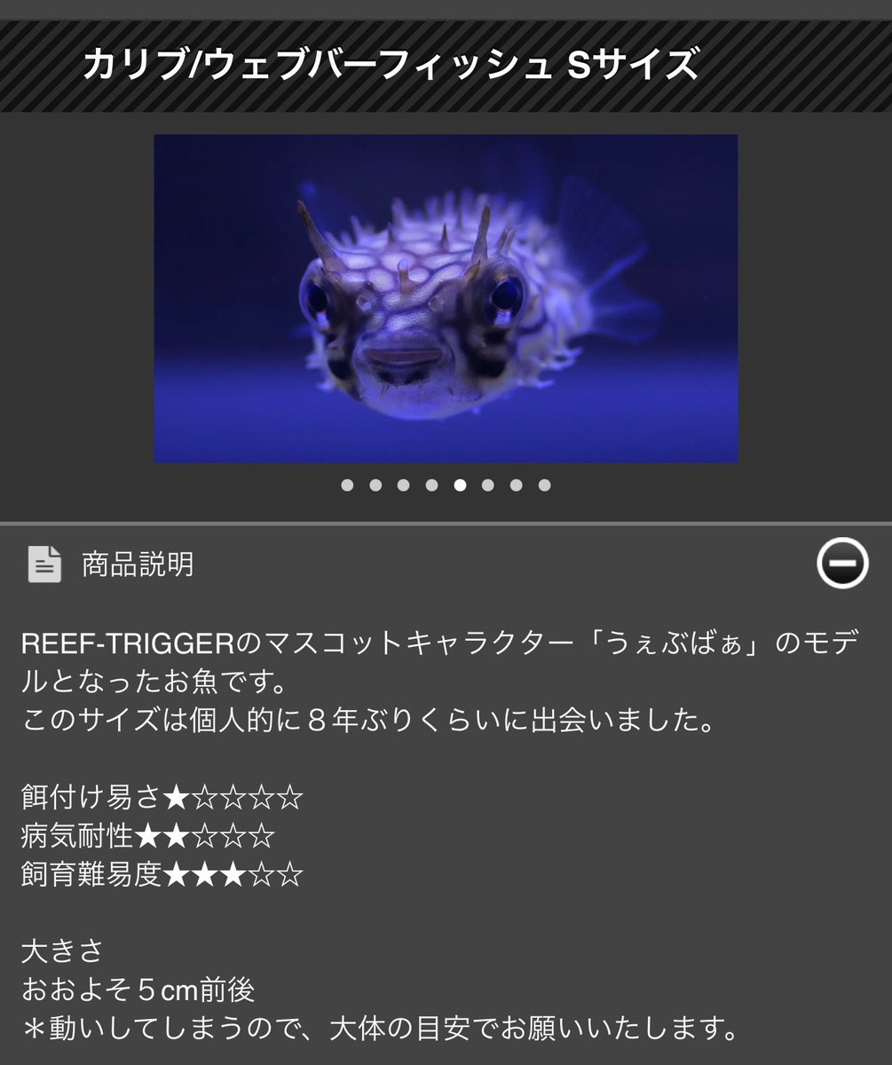じゃむ tweet media