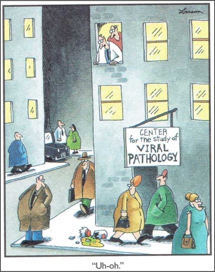 DarrellRoot's tweet photo. @joquji5n324il @Osinttechnical Here’s Gary Larson’s premonition of 2020… https://t.co/Pm4An51ePW