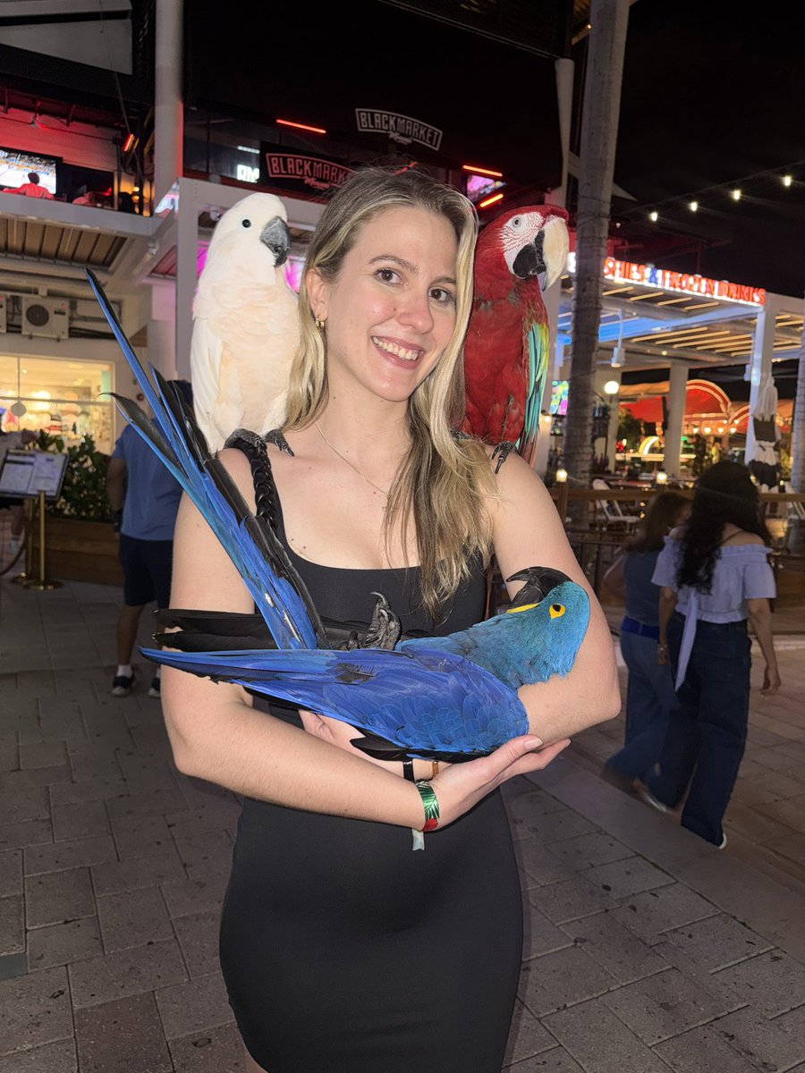 Tanja Trades tweet media