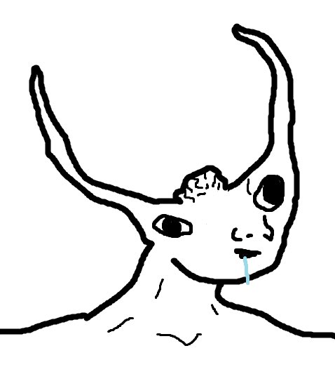 ₿acon Hodl tweet media