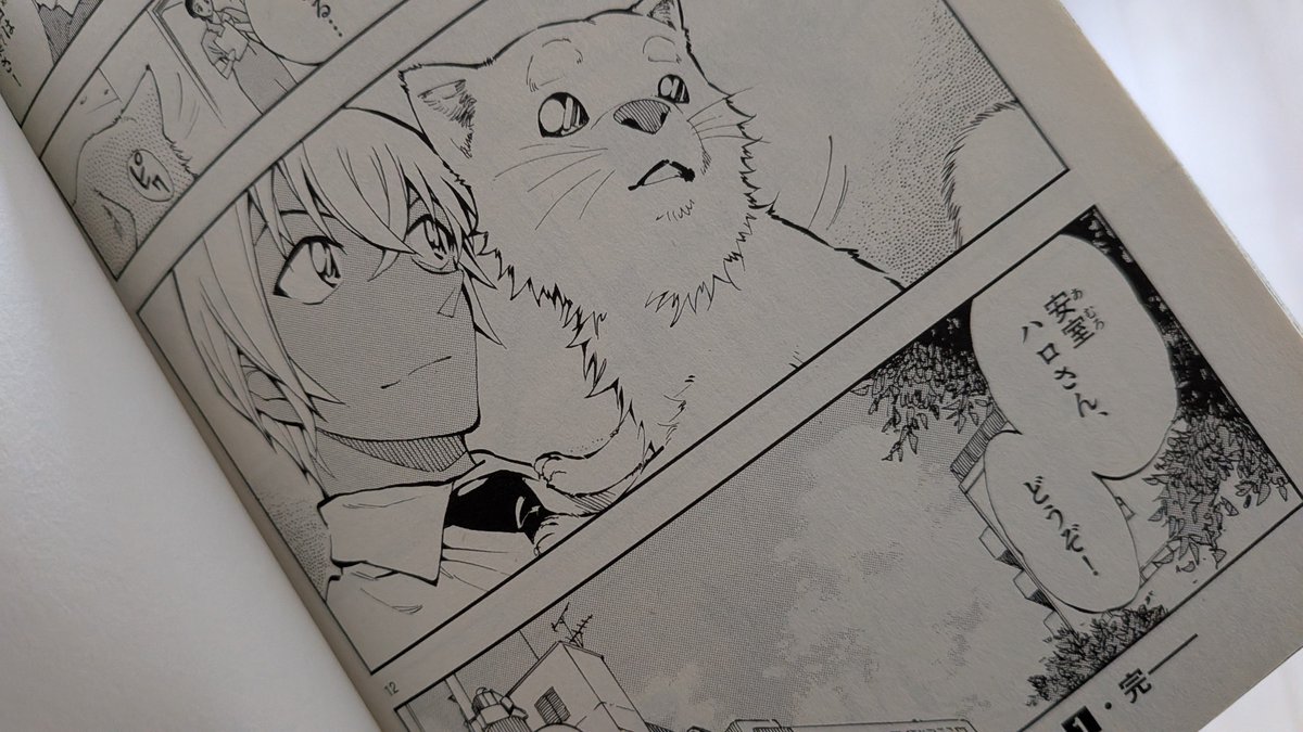 Rose Chuang🇹🇼 tweet media