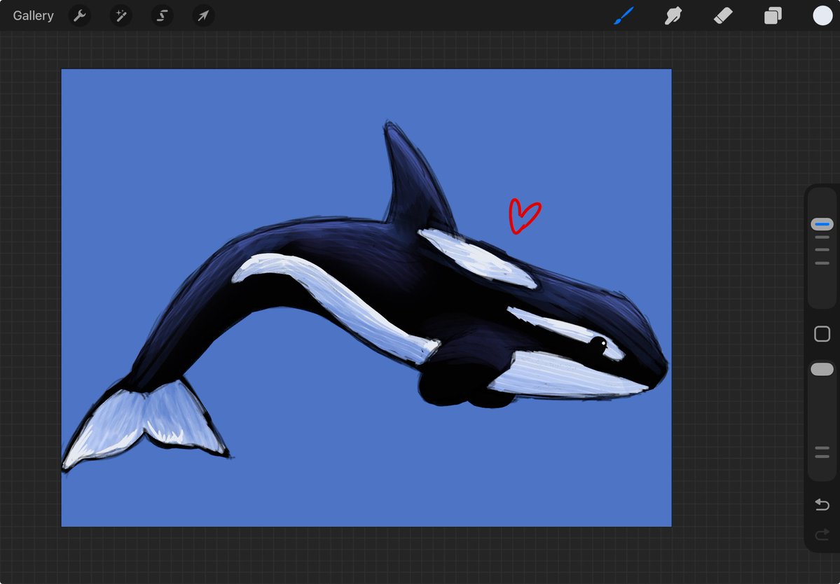 🌲🌞😙 tweet media