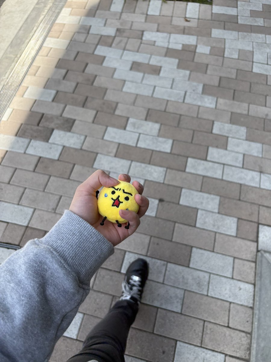 ﾓﾄﾈｺ(仮) tweet media