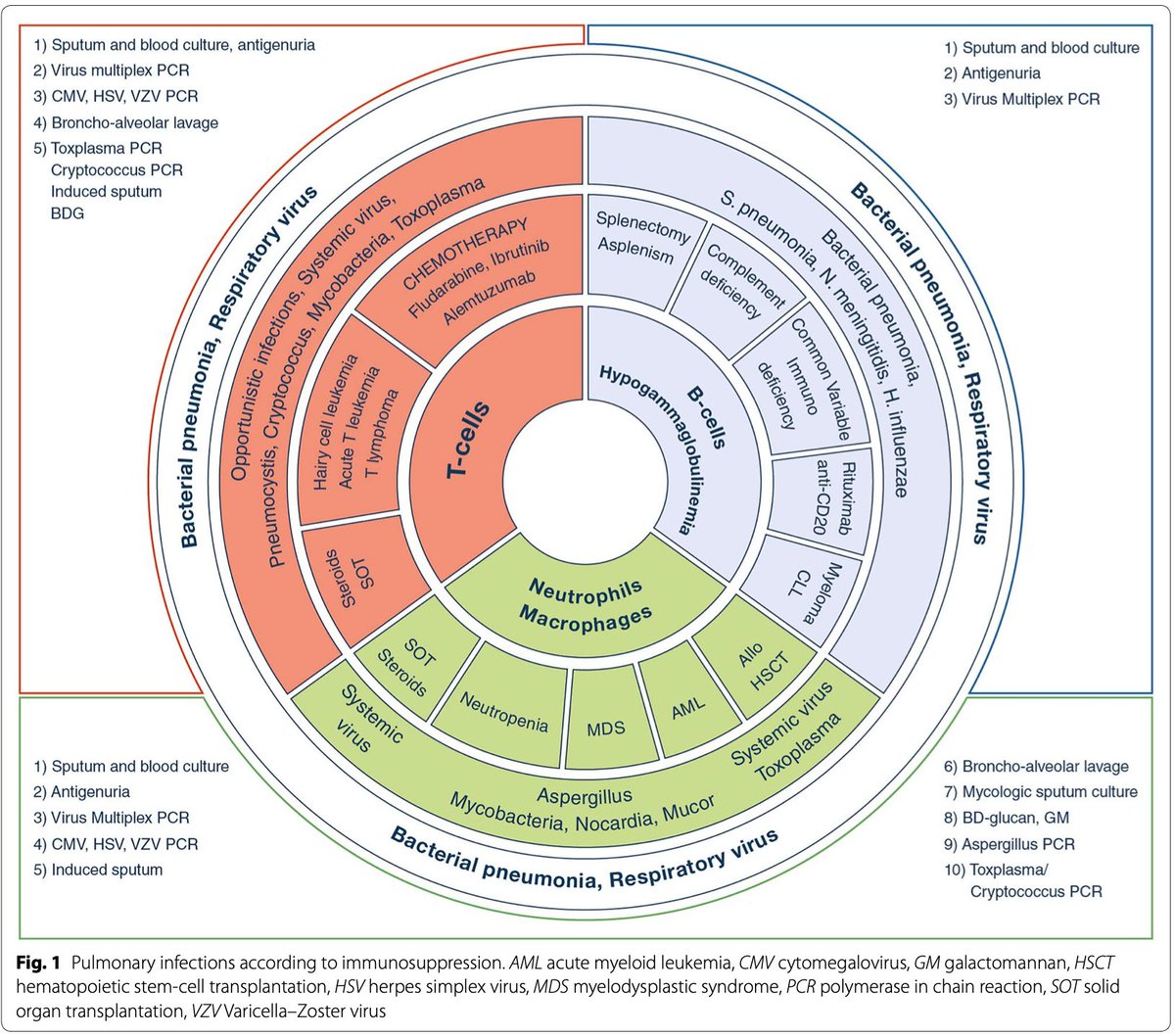 Gansrob's tweet photo. The next #EBIM newsletter is out! Timely insights on medical topics that could change primary care practice tomorrow. EBIM in the Loop, April 18 https://t.co/IxKjbfqTMd  #InternalMedicine #PrimaryCare #MedicalEducation https://t.co/bVXYupKZru