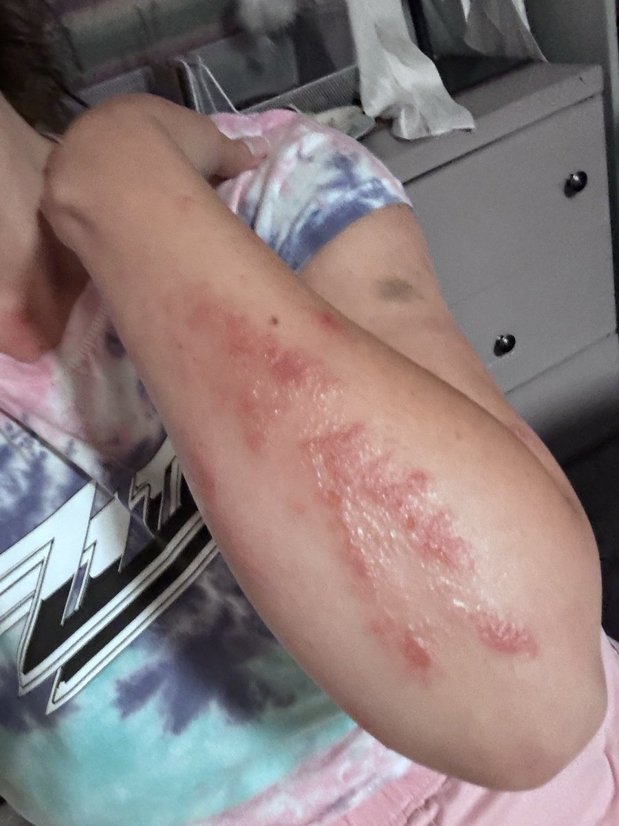 Pissed Off Panda 🐼👽😡 tweet media