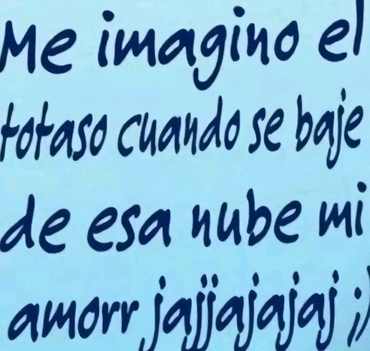 lo único que tengo por decir