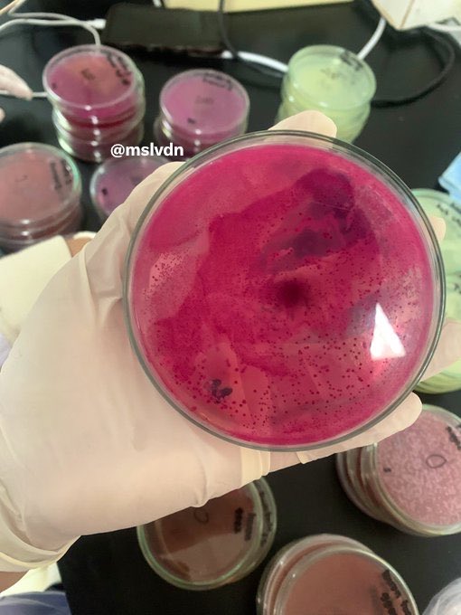 ୨ৎmilsss⋅˚₊‧ tweet media