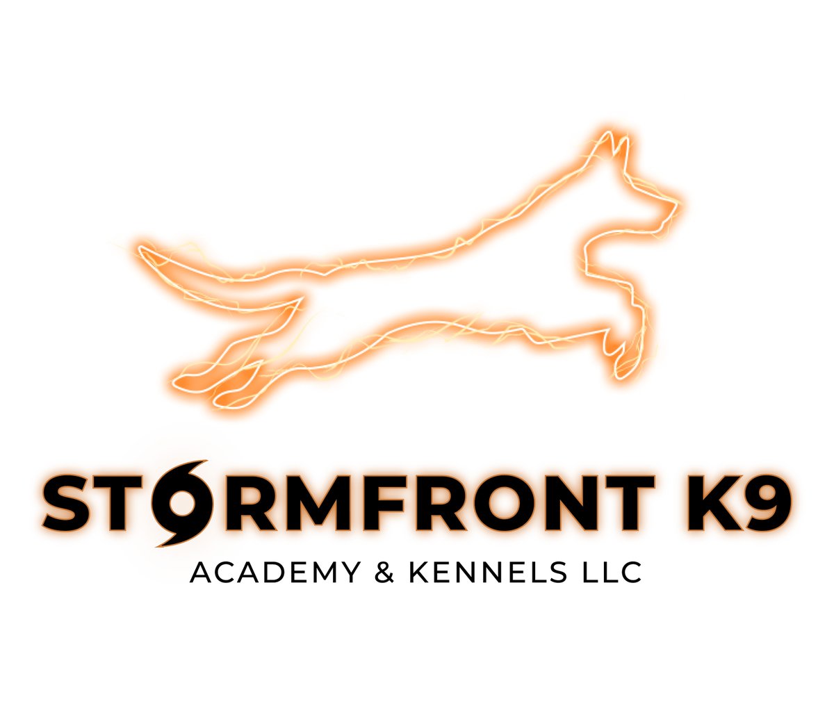 WJSGUNS's tweet photo. Elevate your dog's training with our expert services! Obedience to Service Dog, we've got you covered! Transform your pup today! 📞 https://t.co/Eybbsys9po 
#DogTraining #ServiceDogs #HuntingDogs #ProtectionDogs #DogDaycare #Boarding #DogLife #PawtasticTraining https://t.co/NymVkEnIMh