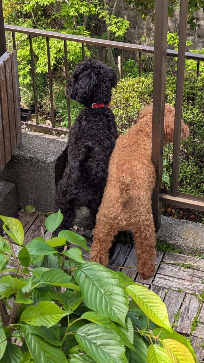 Caitlin Austin tweet media