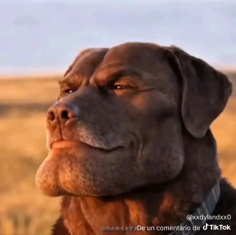 araña fantasma tweet media