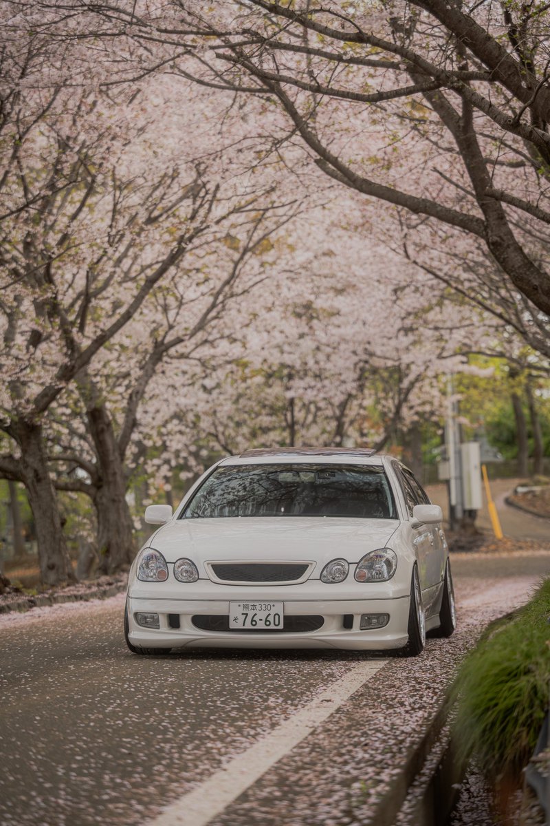 今年の桜短かった気がするけど撮って貰えて良かった😂
いつもながら最高の写真ありがとう🙂‍↕️