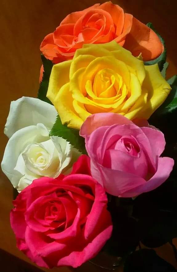 Prakash Raghunath Kelkar tweet media