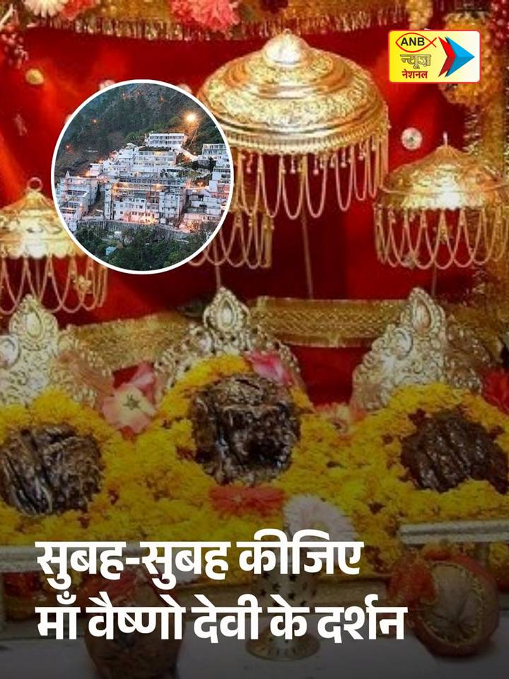 ANB NEWS tweet media