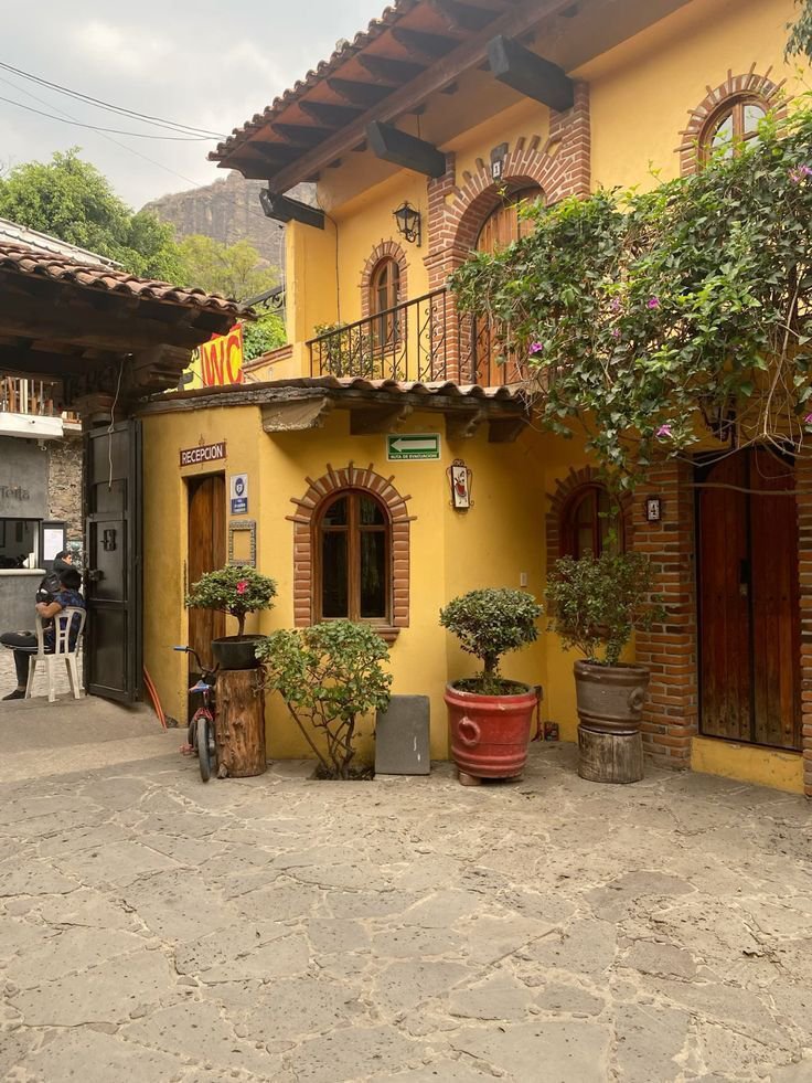 Vibrant Aesthetics tweet media