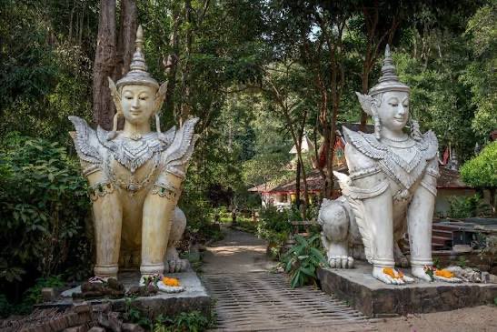 THANIT ARM tweet media