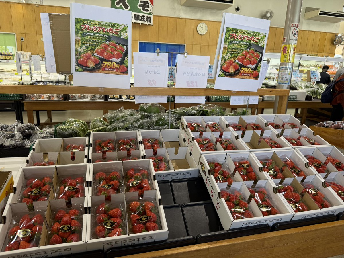 あえかAEKA 🍬＠4/26川越スペースセブン ワンマン🎹🐈🐈🐕🐕 tweet media