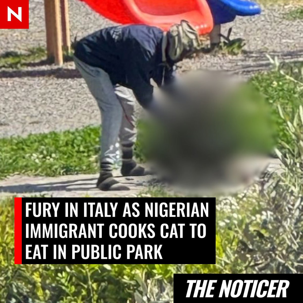 The Noticer tweet media