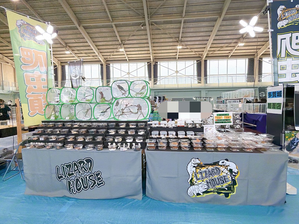 本日東北ペットフェス🦎
よろしくお願いします！！

もうすぐオープン🥳