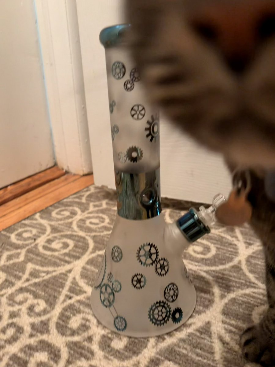 kitty ≽(•⩊ •マ≼ tweet media