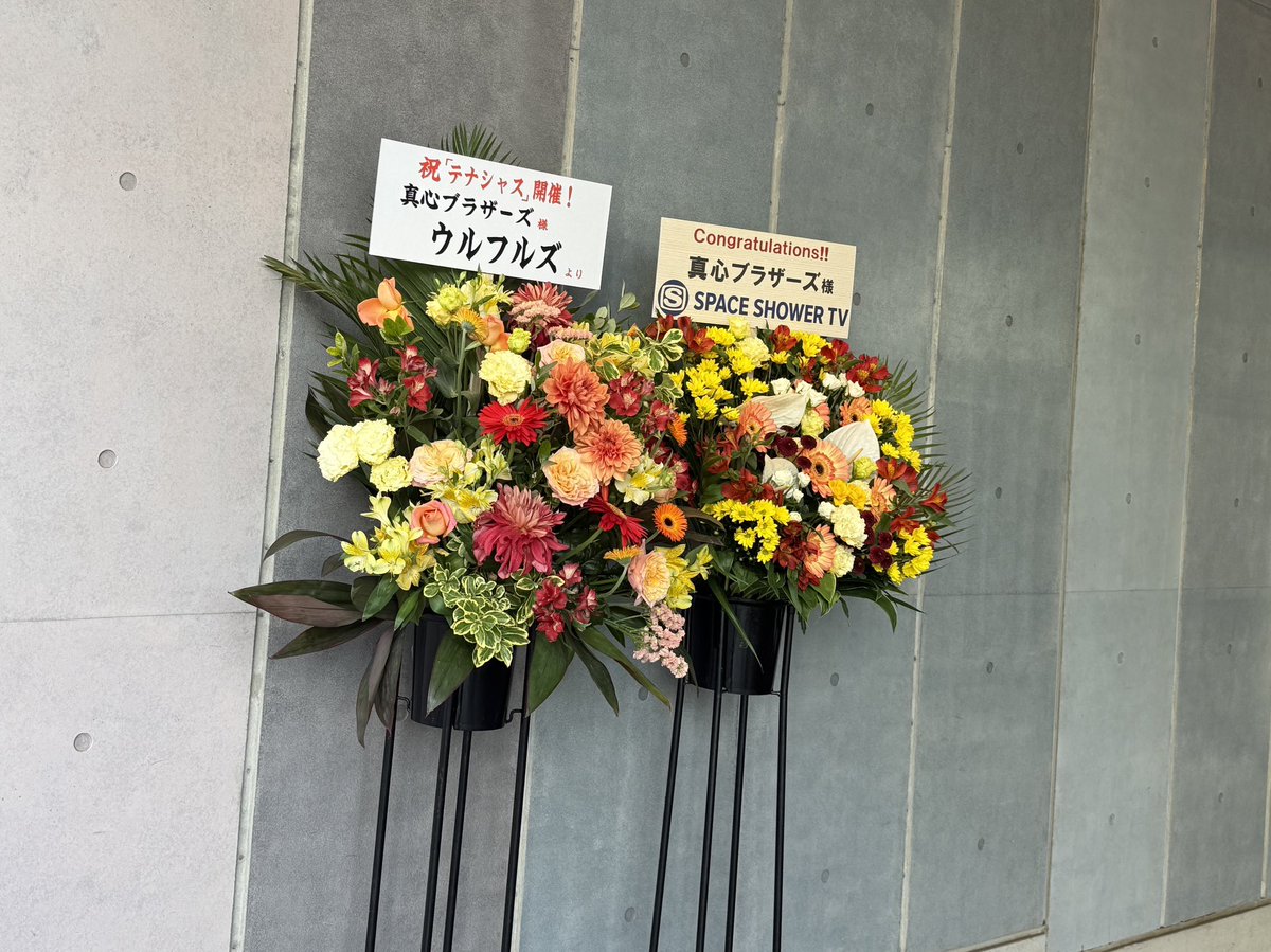 bad_horn's tweet photo. 昨日は真心ブラザーズの1年に1回の10人編成のライブでした☺️
開催が4月になってからは、転勤の辞令後にチケット取るので、今回は2階席。
行ける事が嬉しい❤️
動いて笑って楽しかった♪
KINGはずっとそのキャラで🤭 https://t.co/Tcg4CfJHlx
