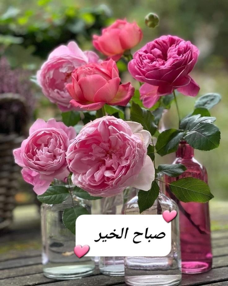 مُـــنى 💎 tweet media