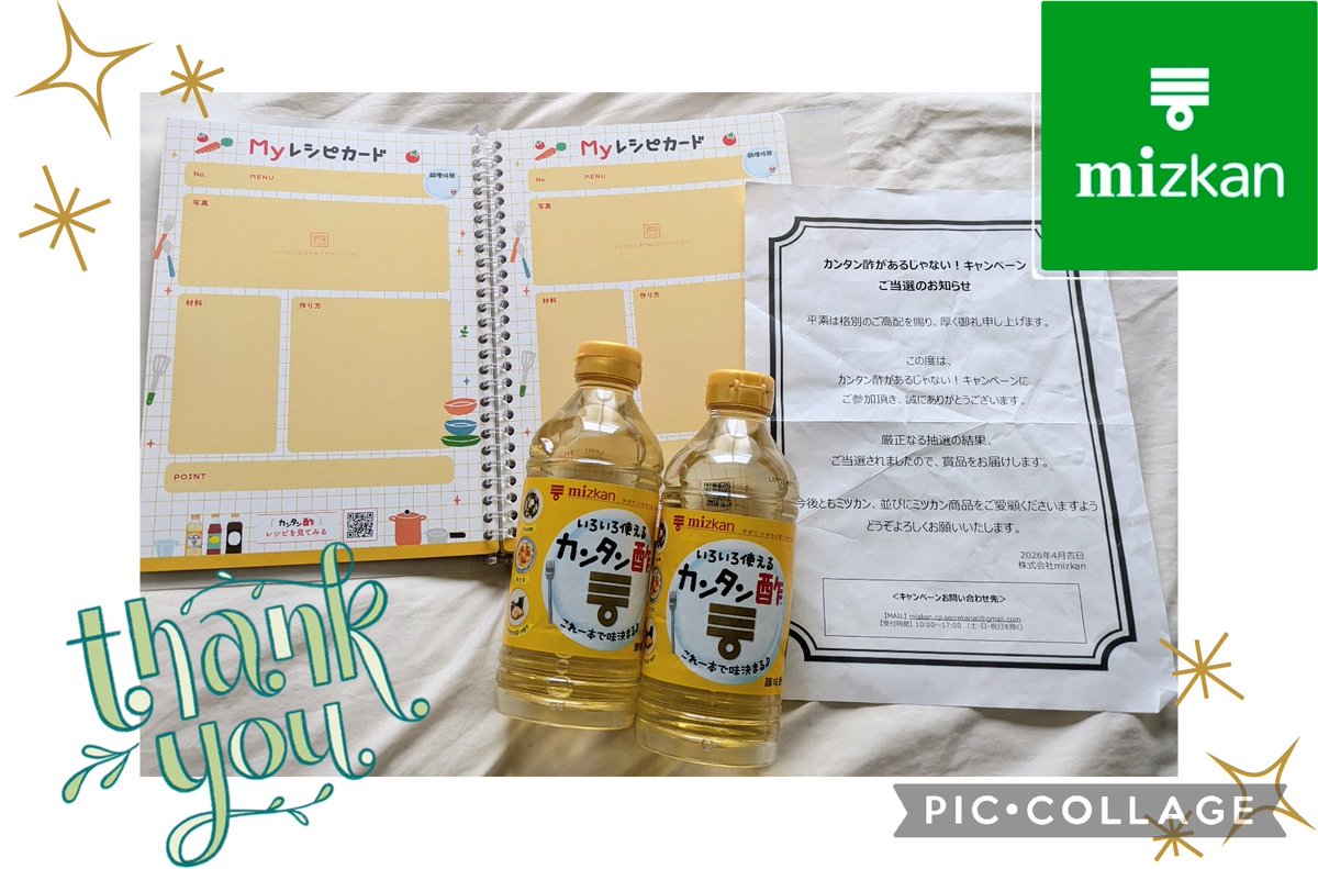 Ellie🐈‍⬛🐾 tweet media