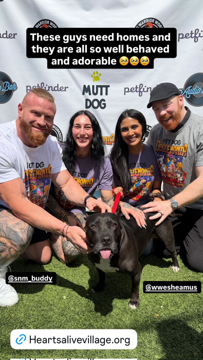 The _Eradicators_ Riptides_ United tweet media