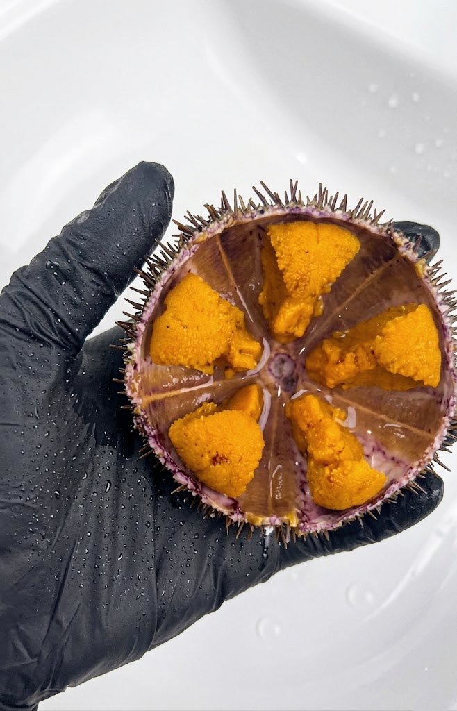 Farouq Hydra🦅 tweet media