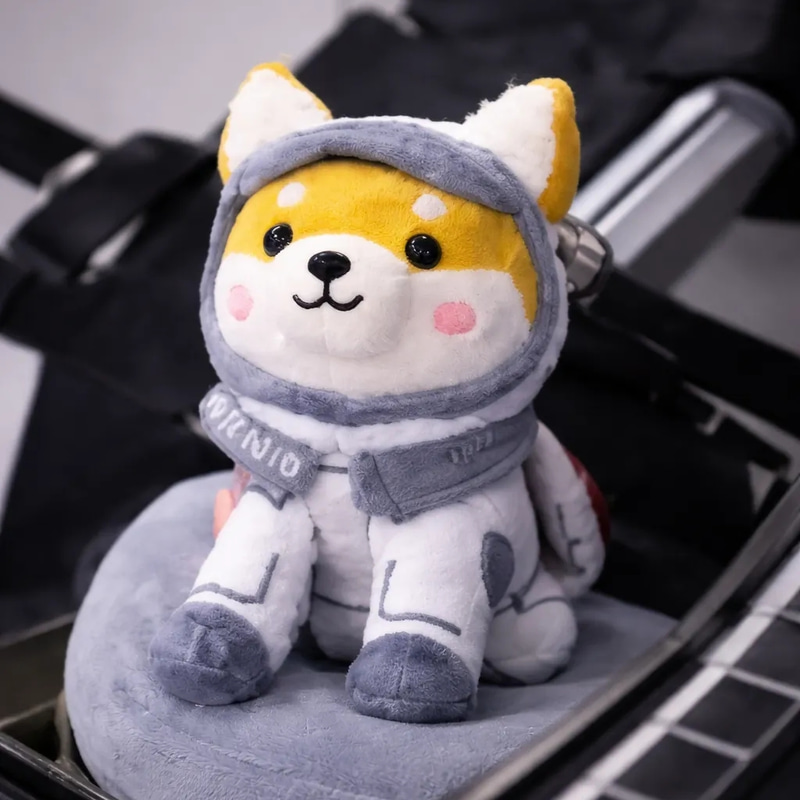 Asteroid tweet media